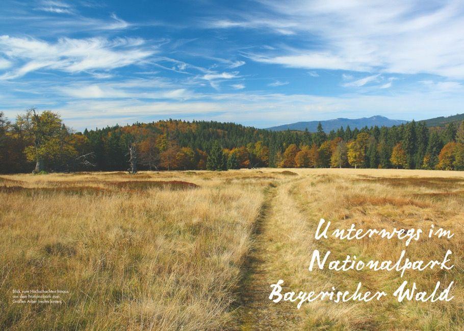 Beispielinhalt (Bild) Meine Lieblingsausflüge im Bayerischen Wald: 30 Entdeckertouren zu malerischen Städten und Landschaften - Freizeitführer mit Wandern und Radeln im Nationalpark Bayerischer Wald und dem Dreiländereck