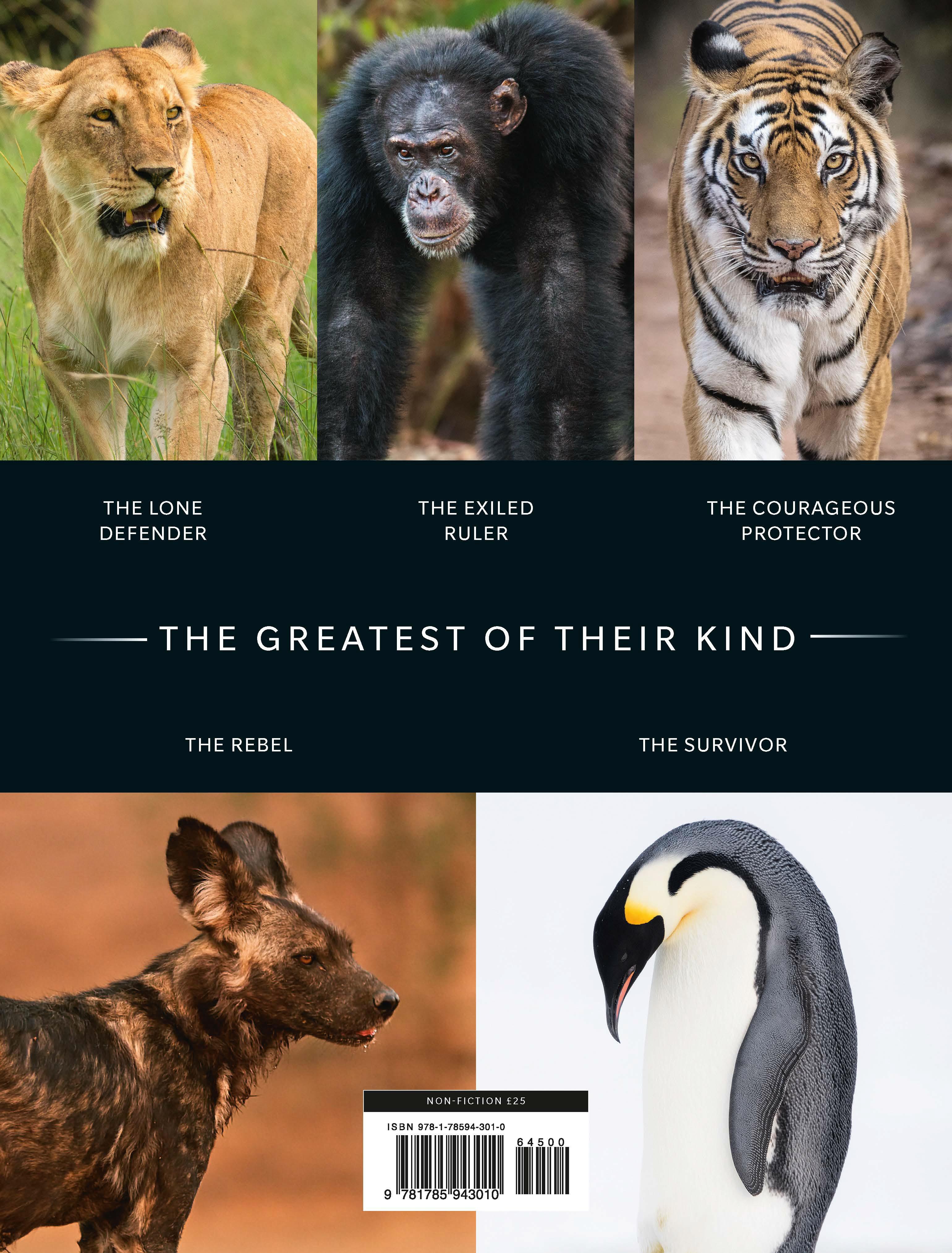Rückseitencover Dynasties