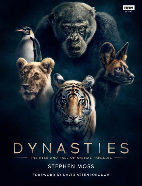 Vorderes Coverbild Dynasties