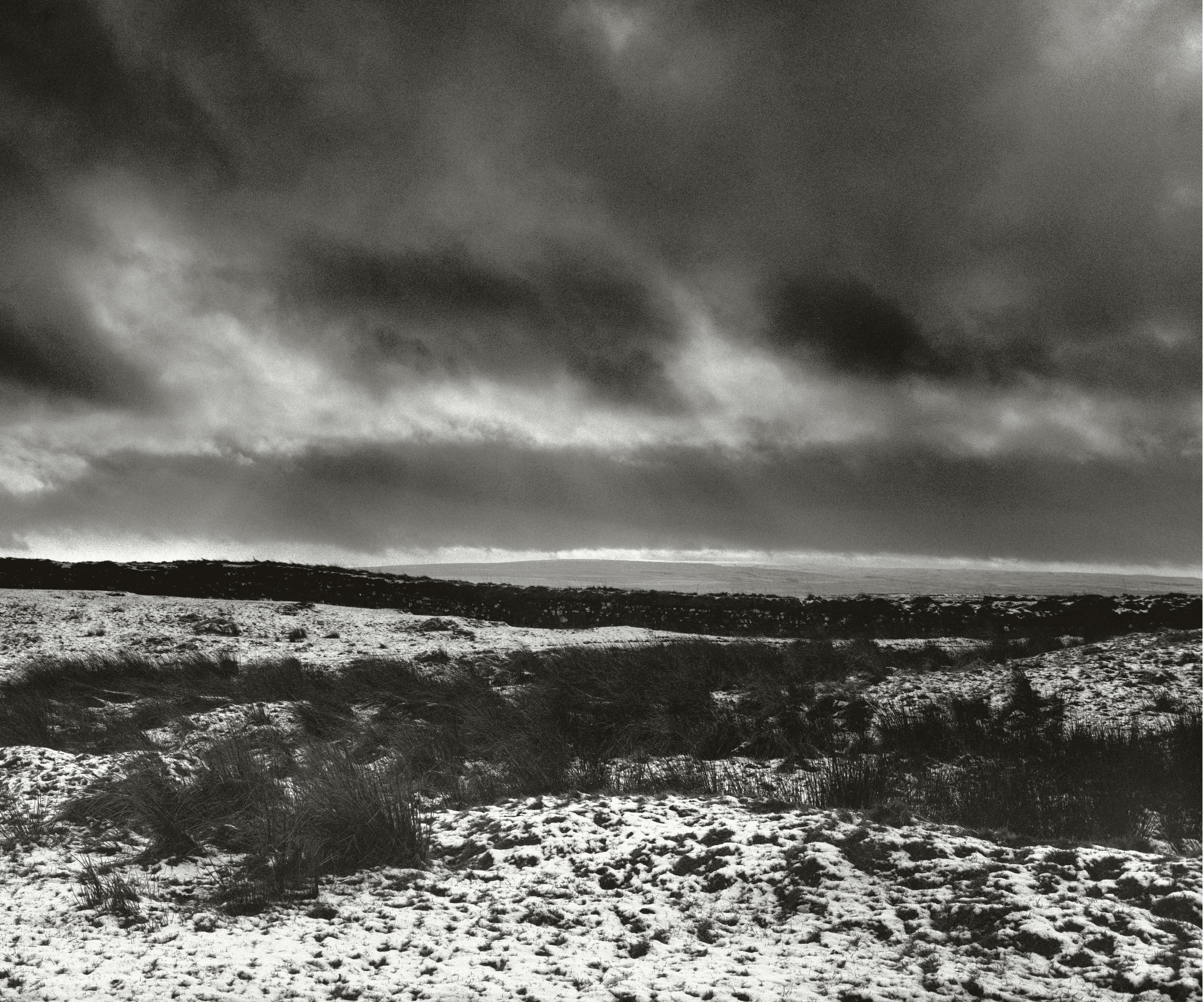 Rückseitencover The Landscape