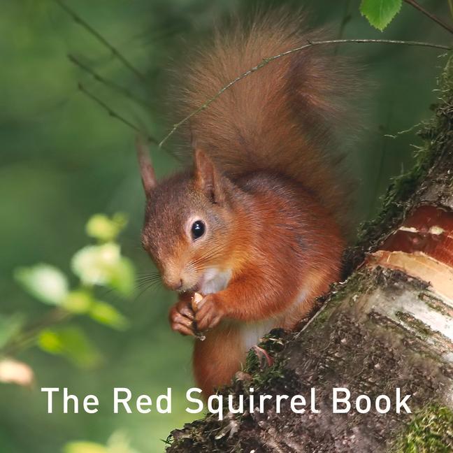 Vorderes Coverbild Nature Book Series: The Red Squirrel Book