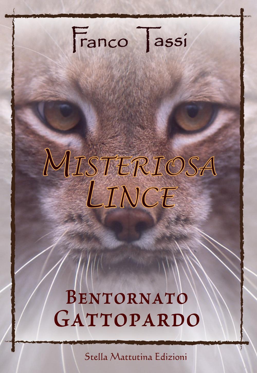 Vorderes Coverbild Misteriosa lince. Bentornato gattopardo