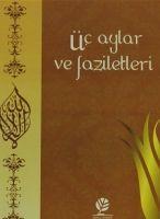 Vorderes Coverbild Üc Aylar ve Faziletleri