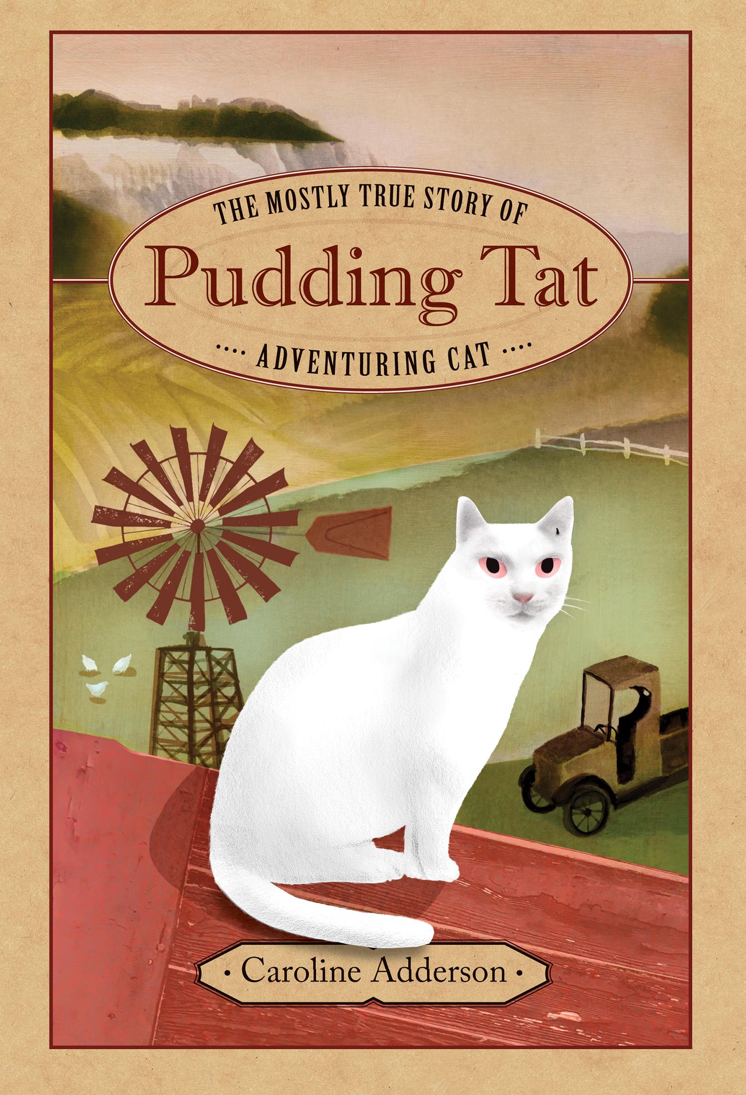 Vorderes Coverbild The Mostly True Story of Pudding Tat, Adventuring Cat