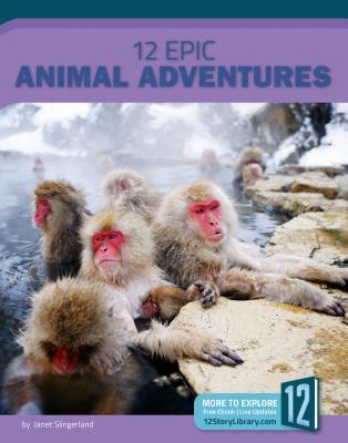 Vorderes Coverbild 12 Epic Animal Adventures