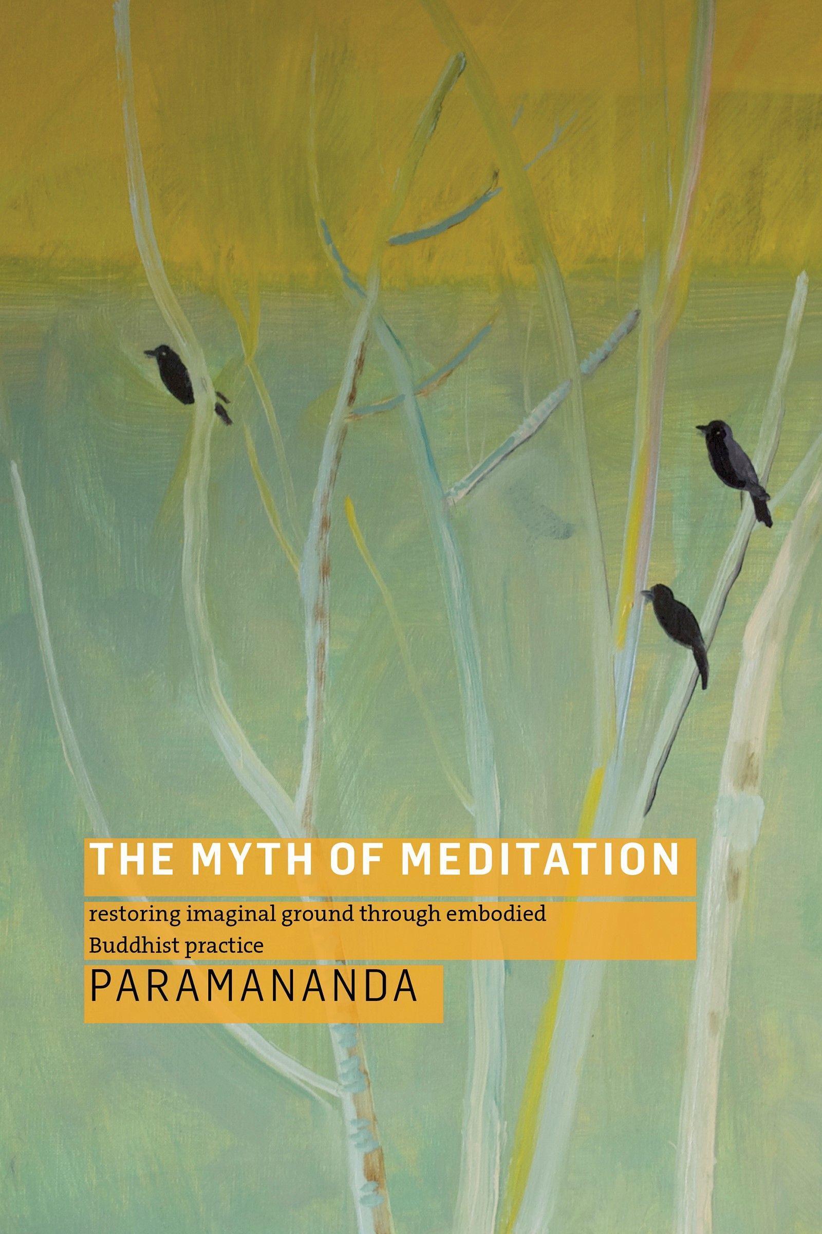 Vorderes Coverbild The Myth of Meditation