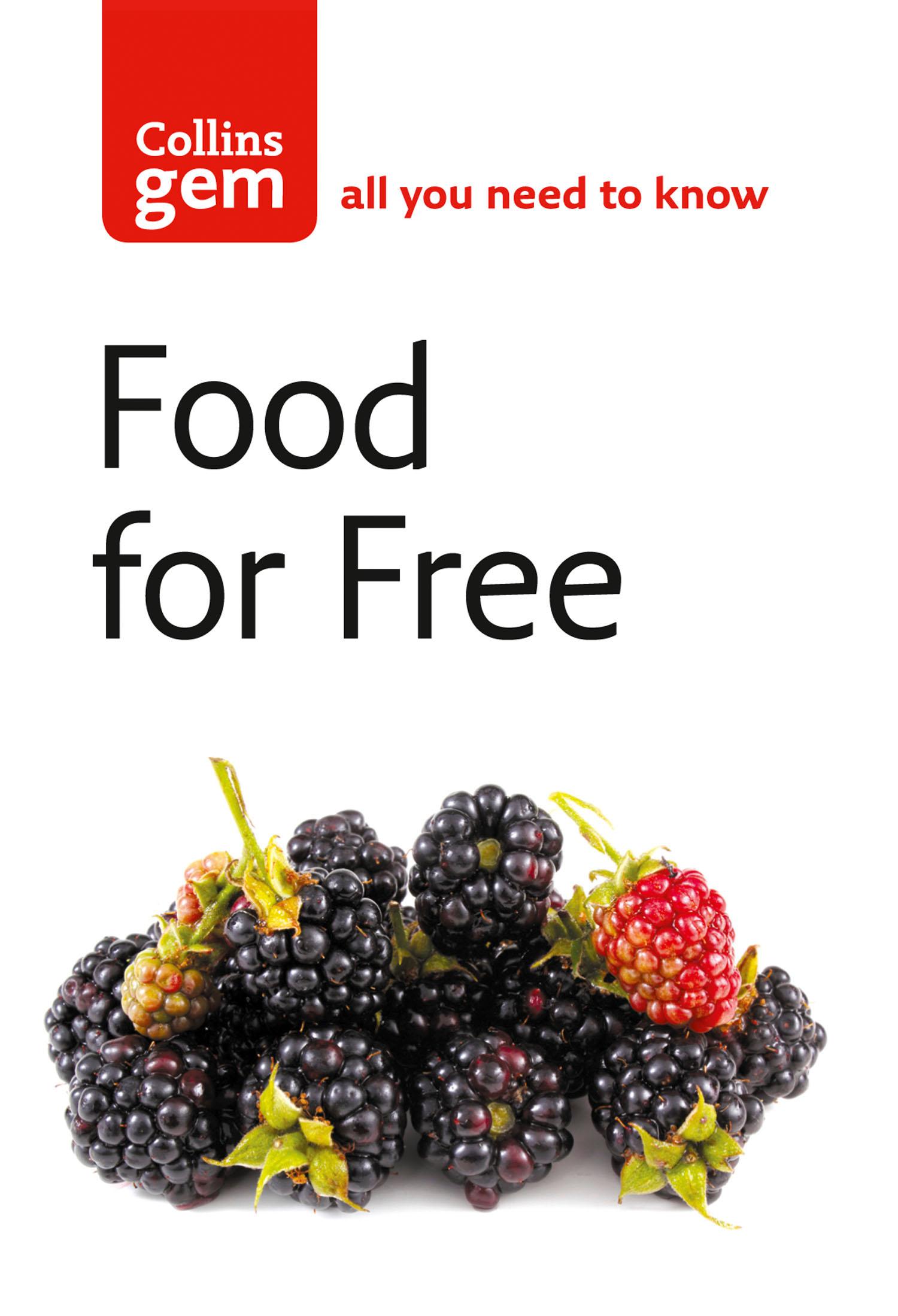 Vorderes Coverbild Food For Free