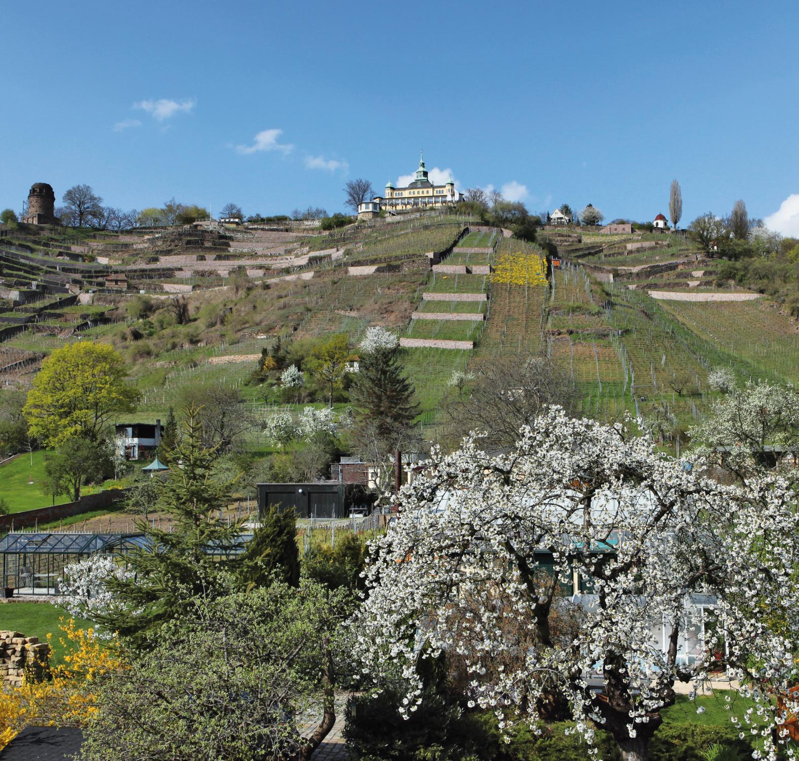 Beispielinhalt (Bild) Zauberhaftes Radebeul