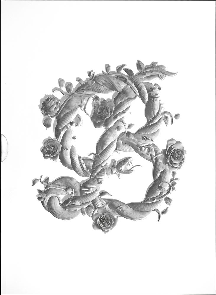 Vorderes Coverbild Sagmeister & Walsh: Beauty