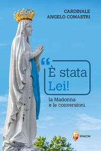Vorderes Coverbild È stata Lei! La Madonna e le conversioni