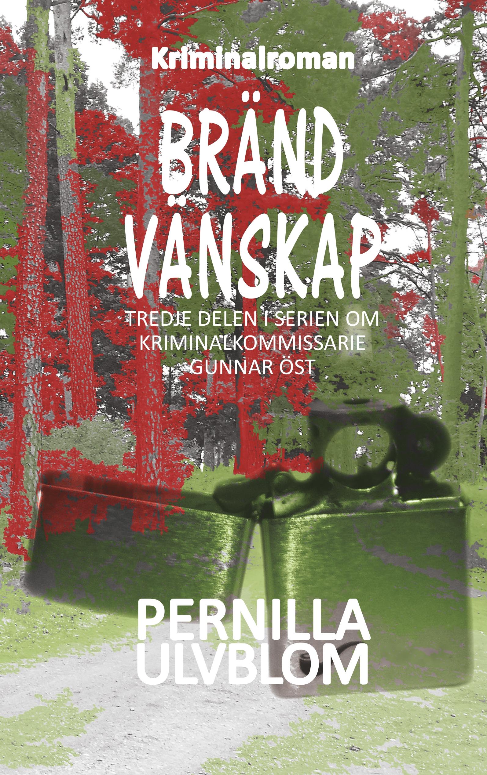 Vorderes Coverbild Bränd vänskap