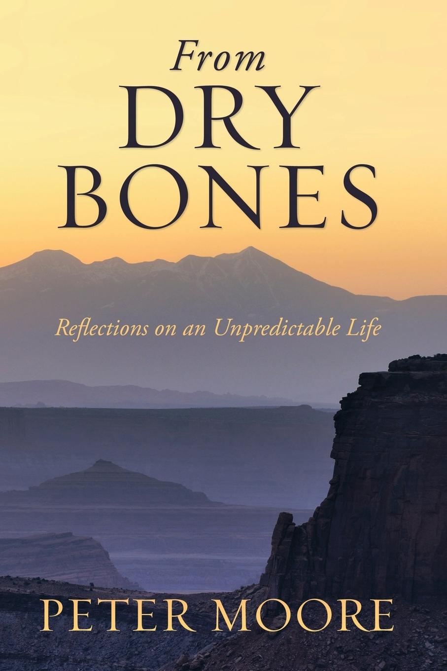 Vorderes Coverbild From Dry Bones