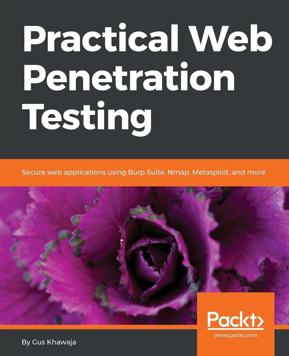 Vorderes Coverbild Practical Web Penetration Testing