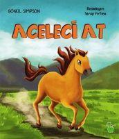Vorderes Coverbild Aceleci At
