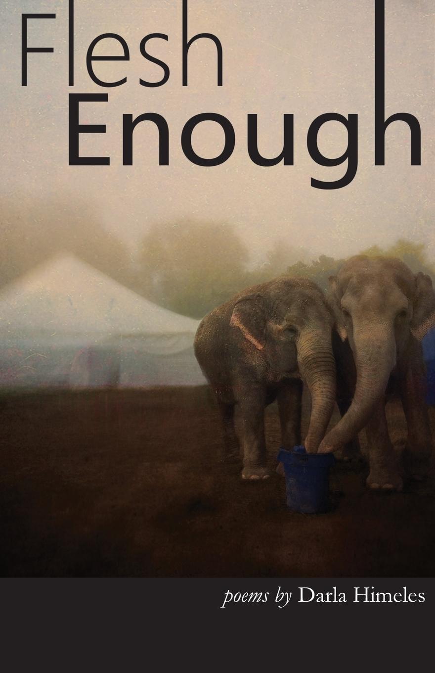 Vorderes Coverbild Flesh Enough