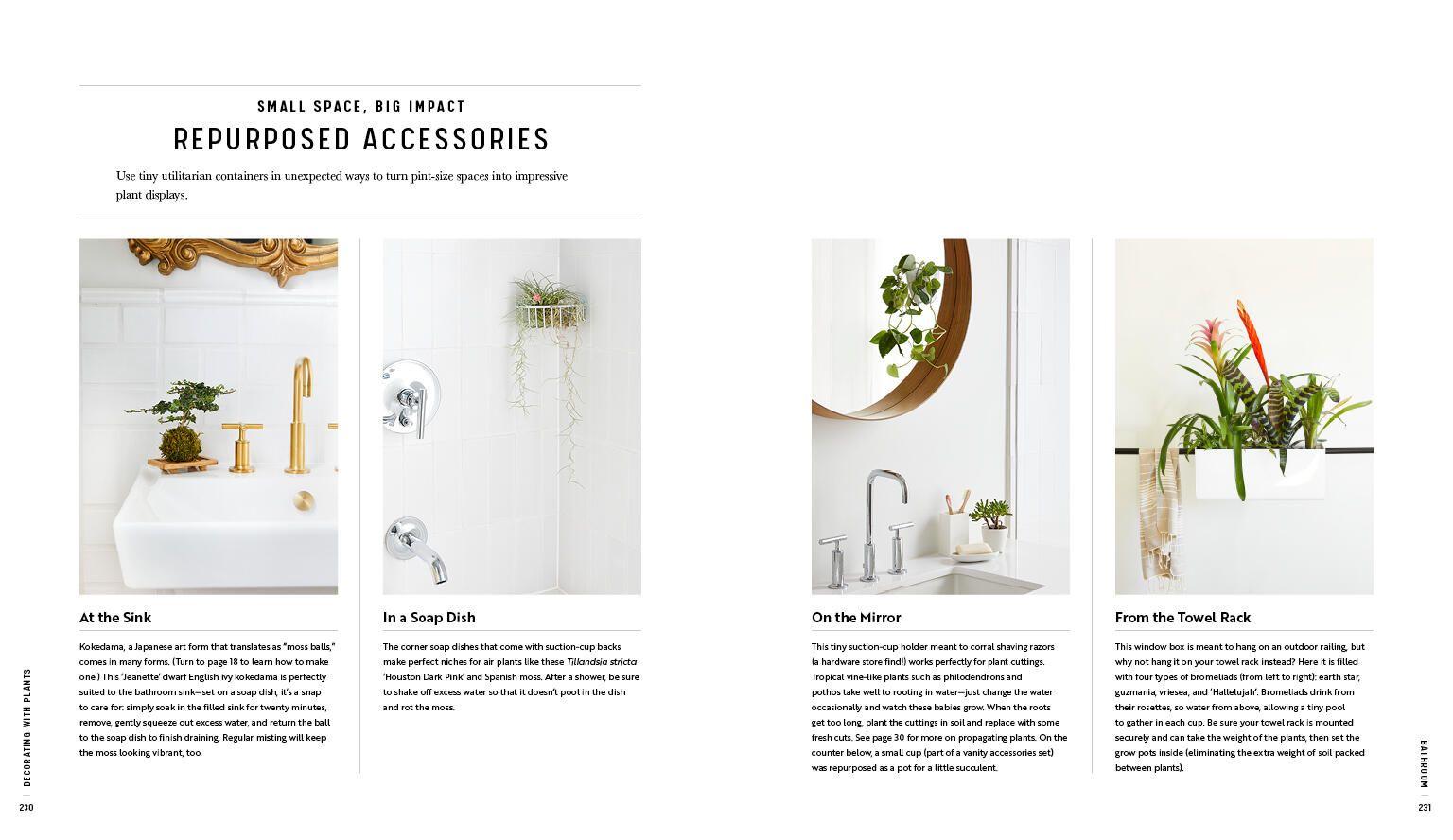 Beispielinhalt (Bild) Decorating with Plants