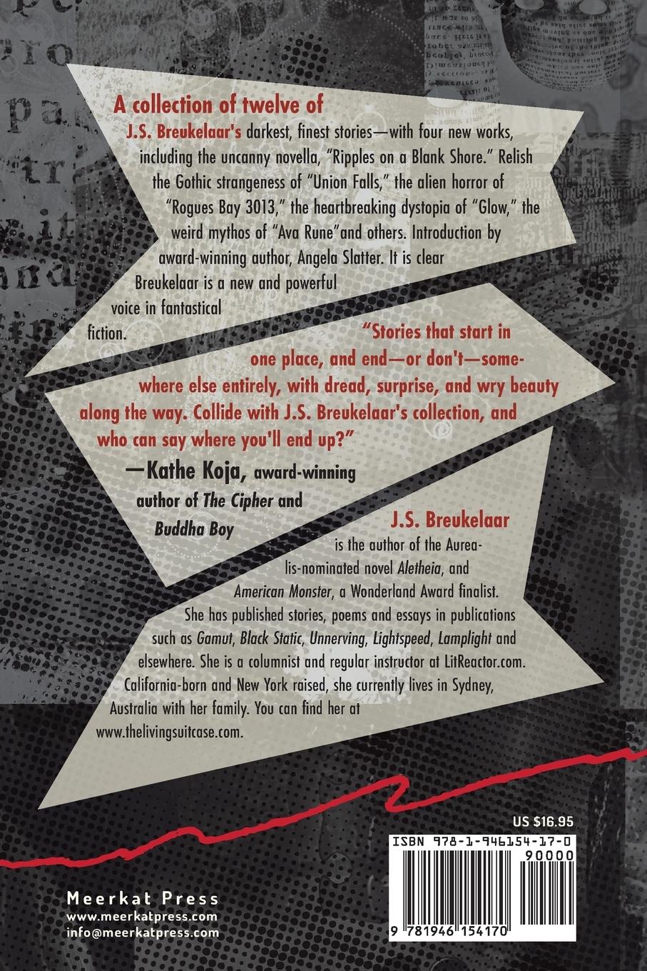 Rückseitencover Collision