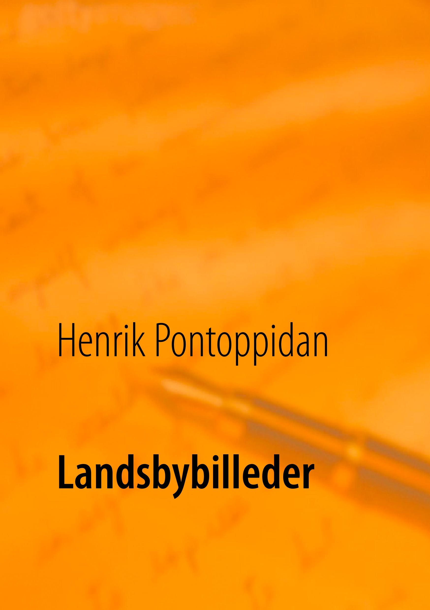 Vorderes Coverbild Landsbybilleder