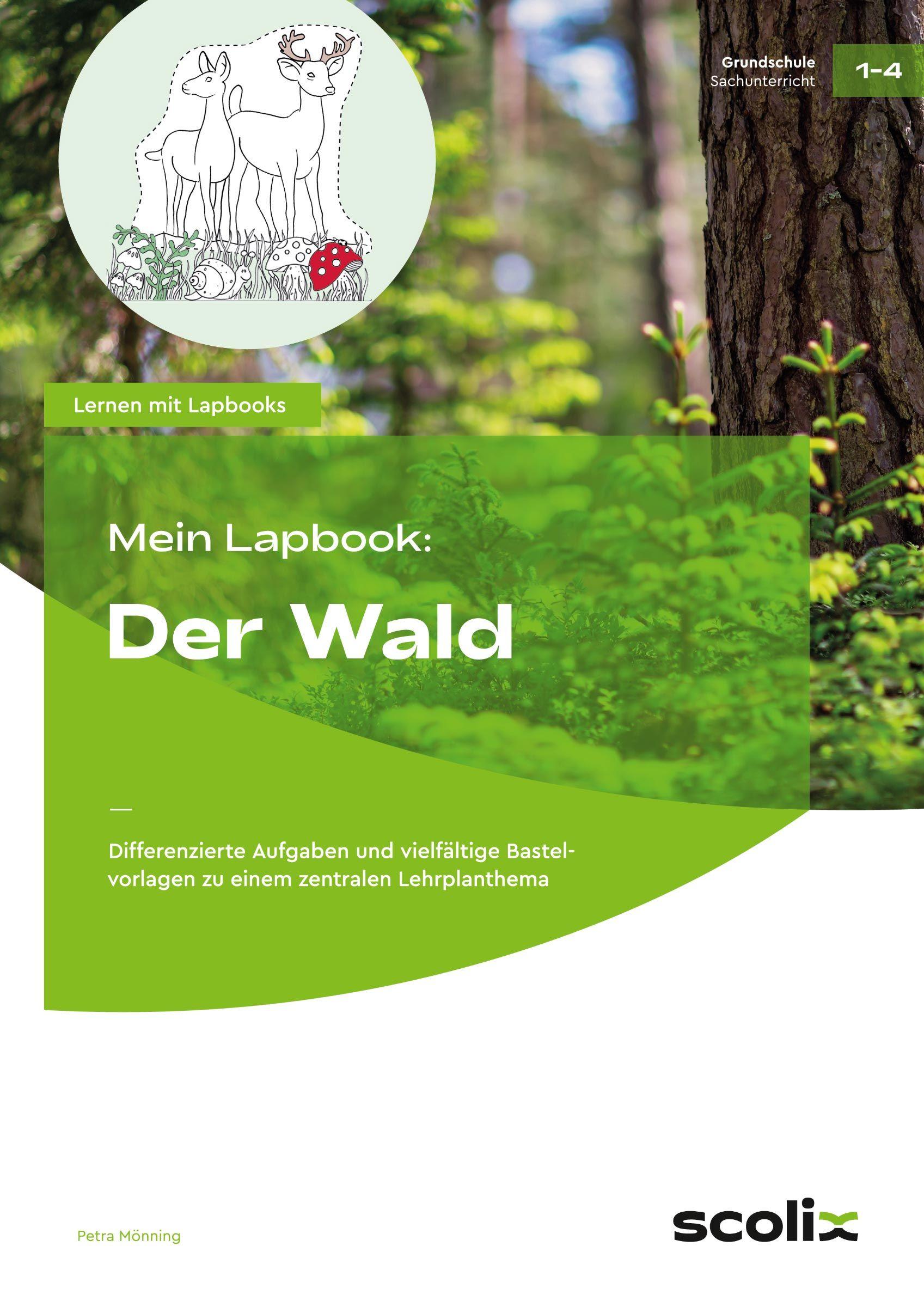 Vorderes Coverbild Mein Lapbook: Der Wald
