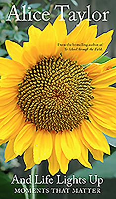 Vorderes Coverbild And Life Lights Up