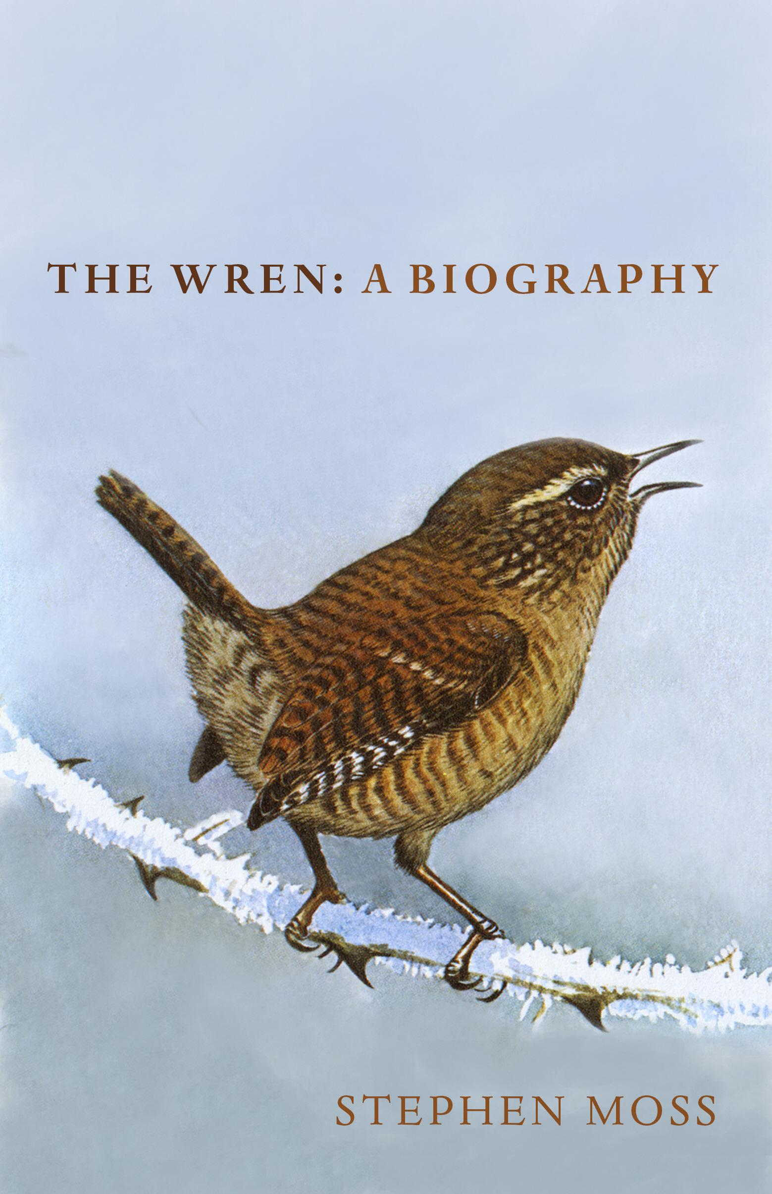 Vorderes Coverbild The Wren