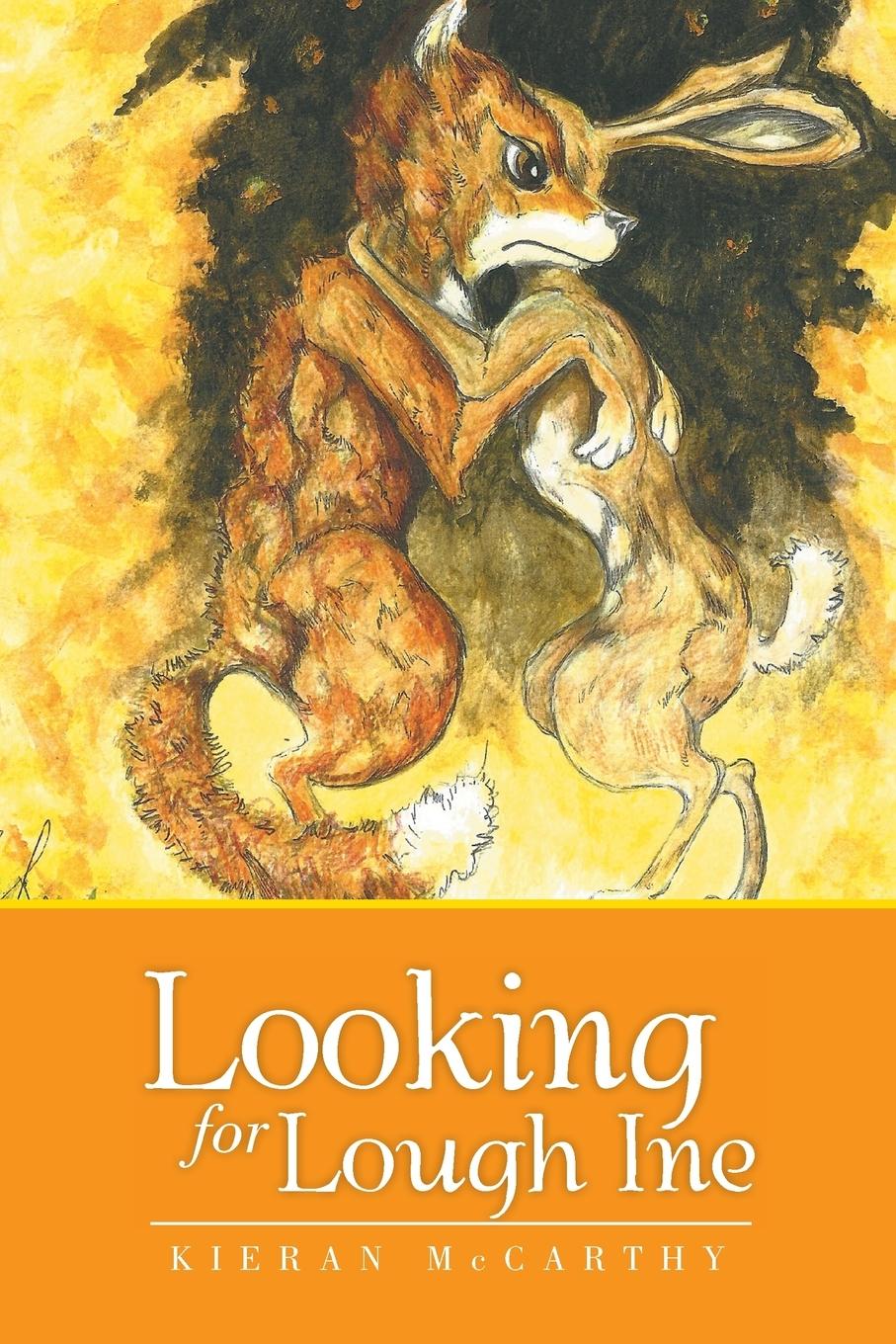 Vorderes Coverbild Looking for Lough Ine