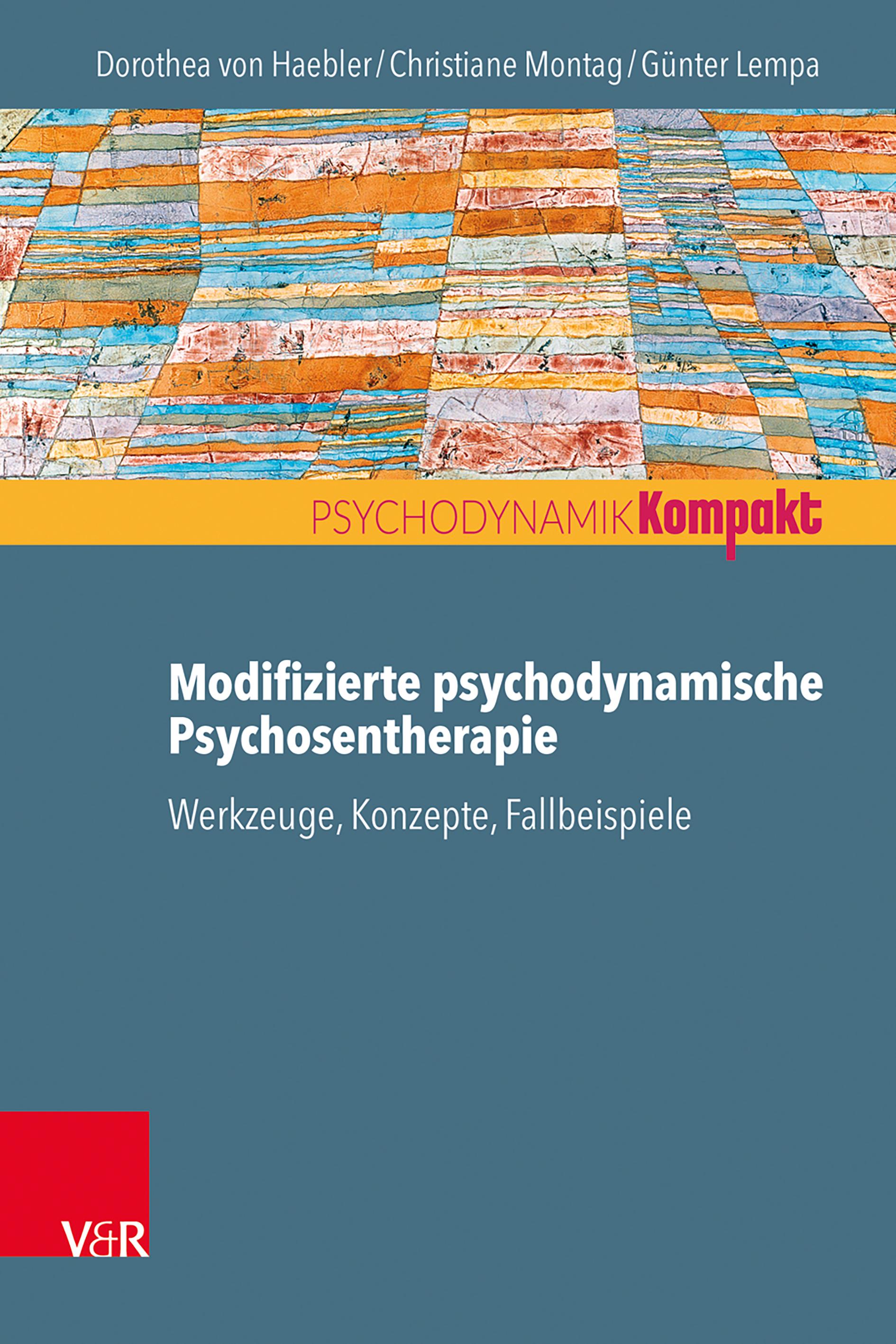 Vorderes Coverbild Modifizierte psychodynamische Psychosentherapie