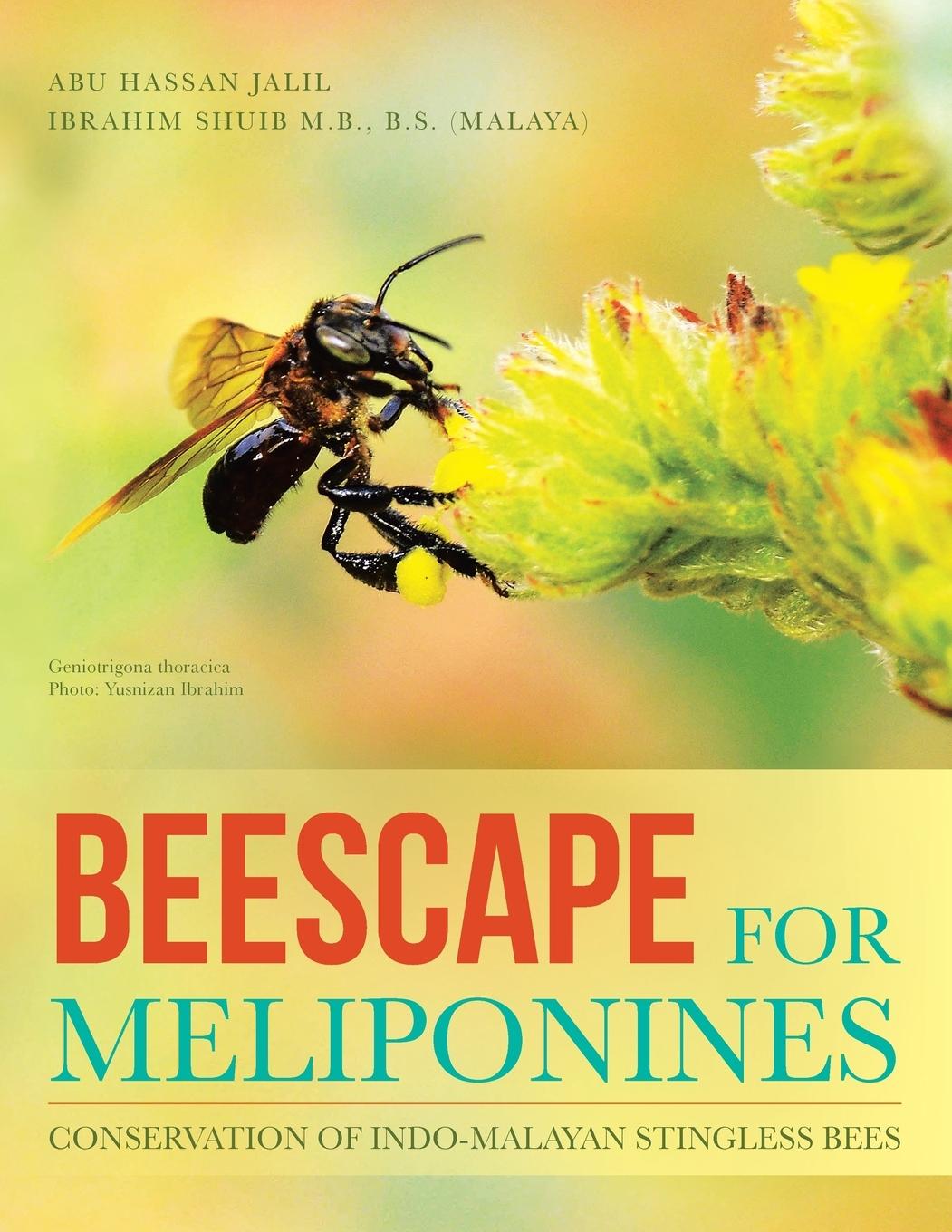 Vorderes Coverbild Beescape for Meliponines