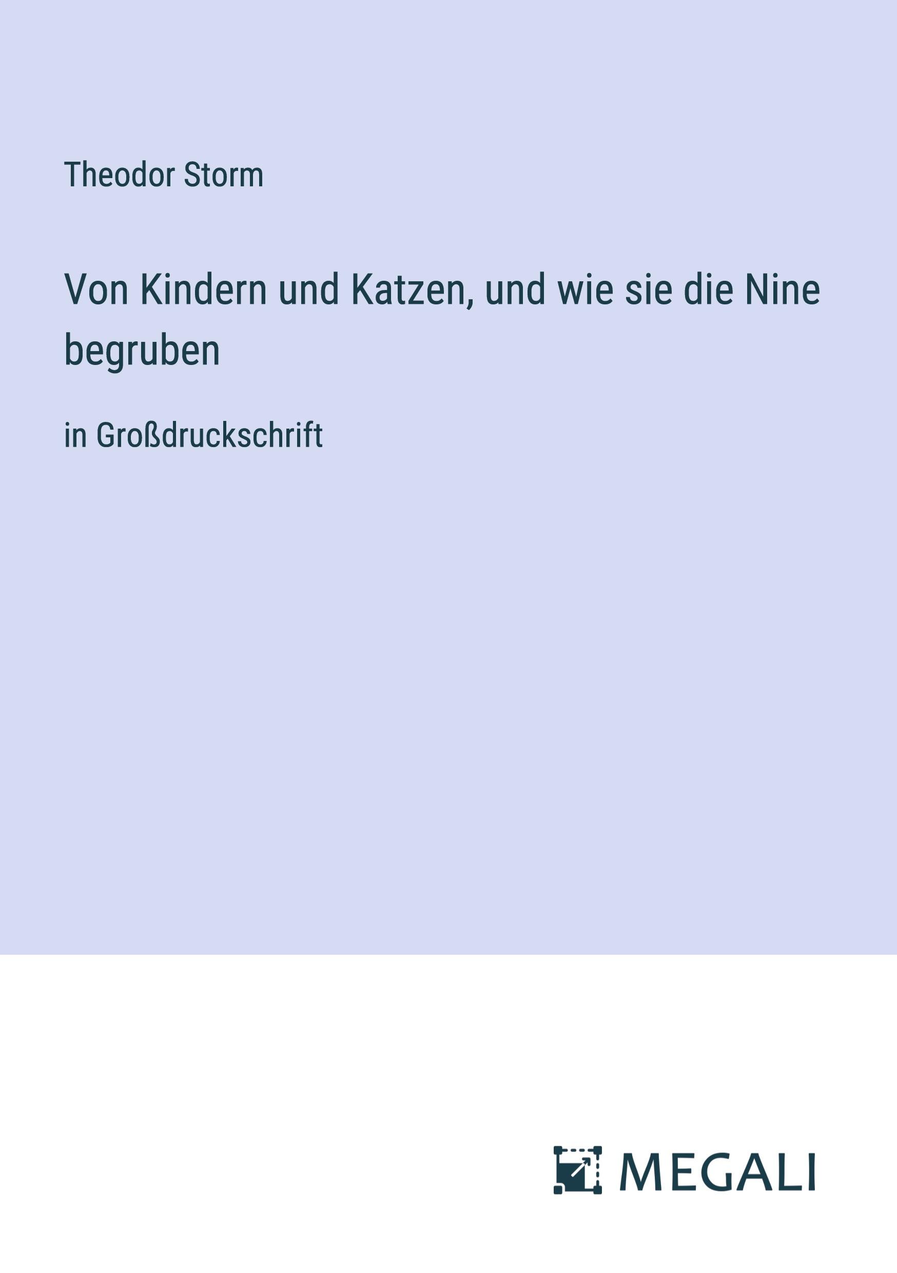 Vorderes Coverbild Musings