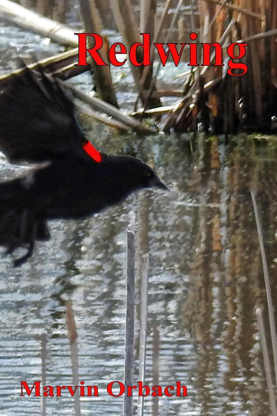 Vorderes Coverbild Redwing