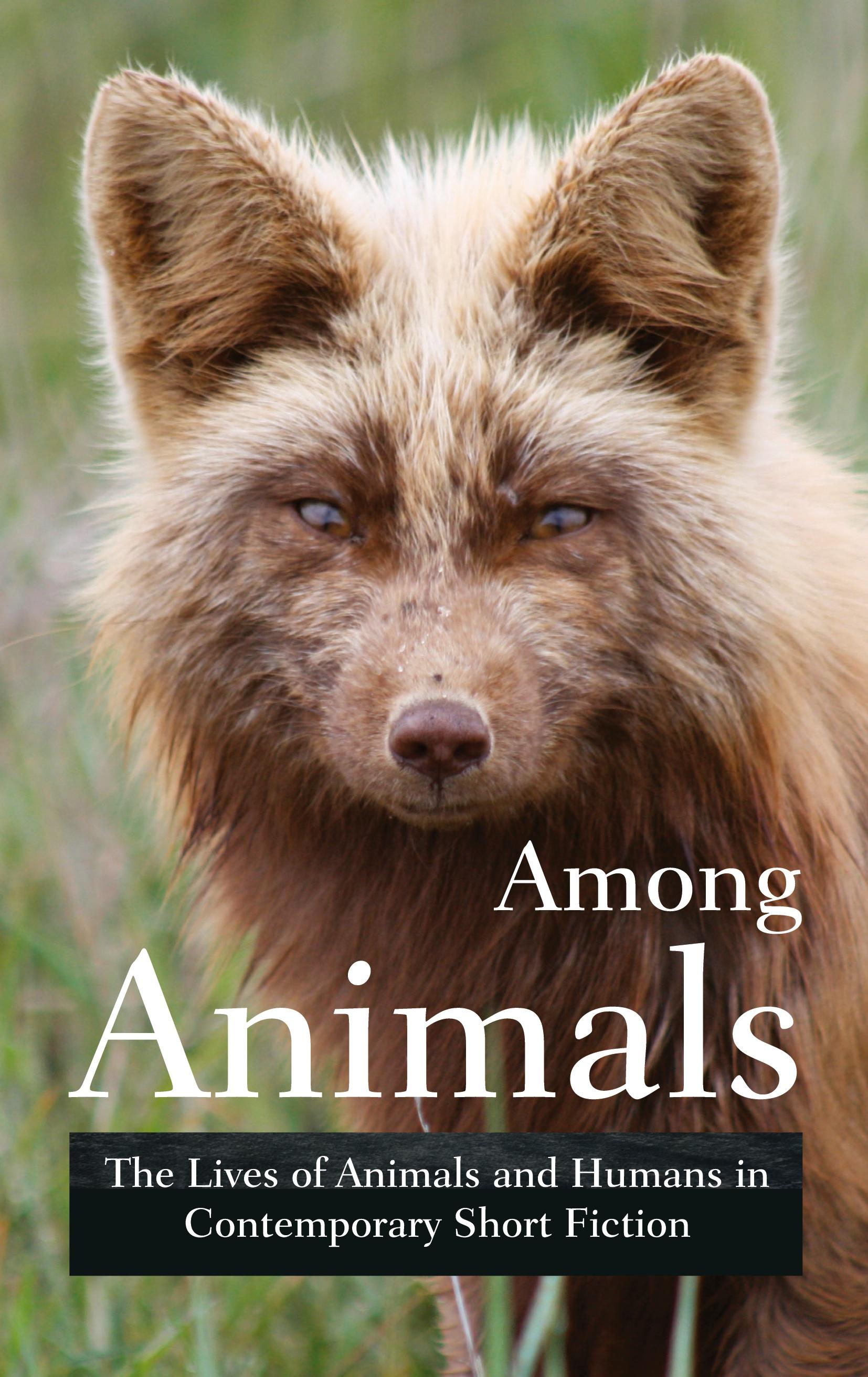 Vorderes Coverbild Among Animals