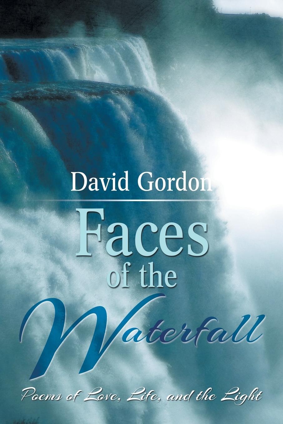 Vorderes Coverbild Faces of the Waterfall