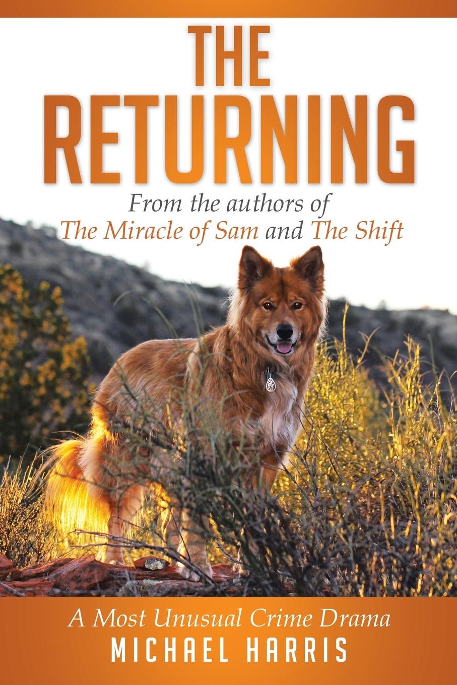 Vorderes Coverbild The Returning