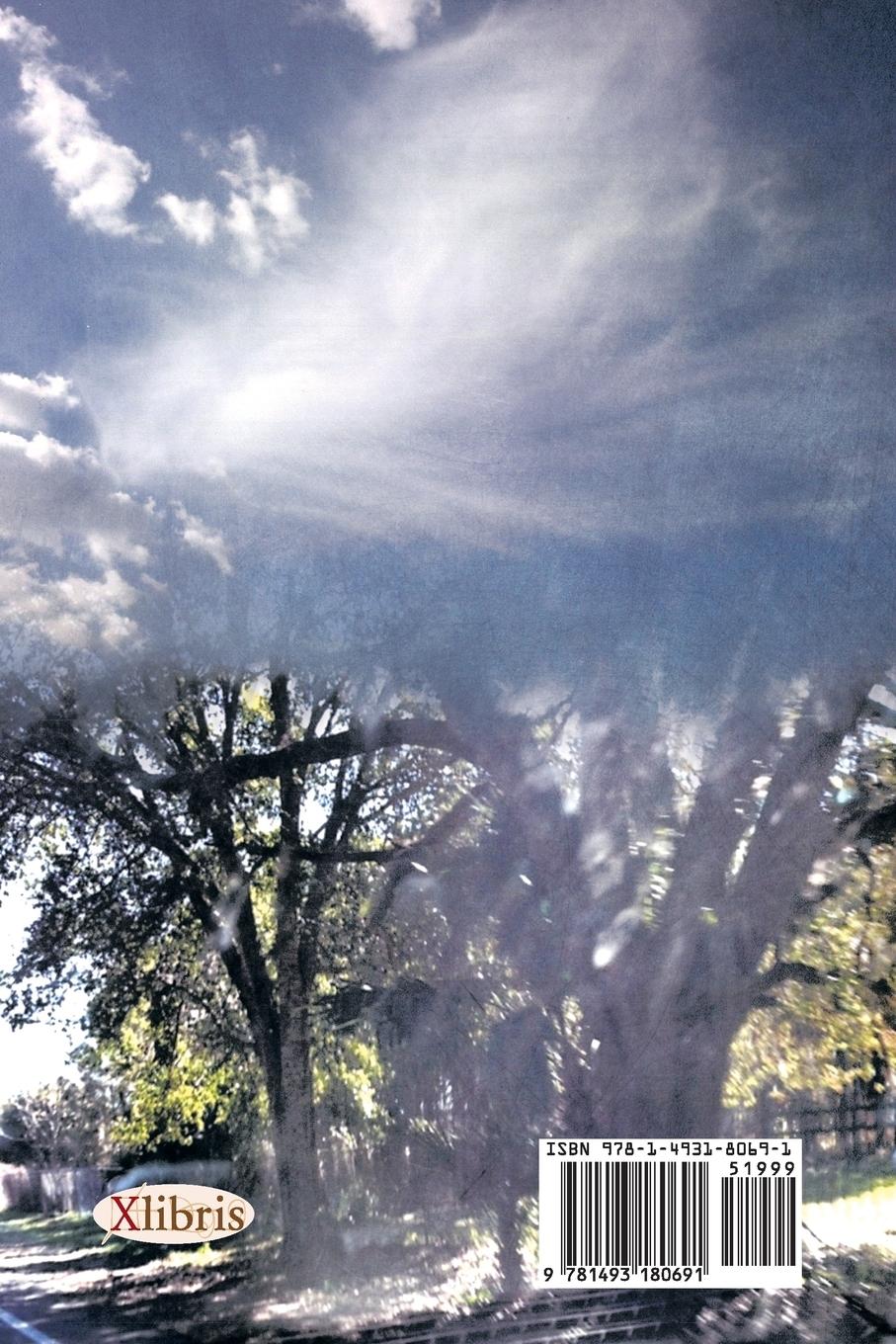 Rückseitencover Soulsplitting