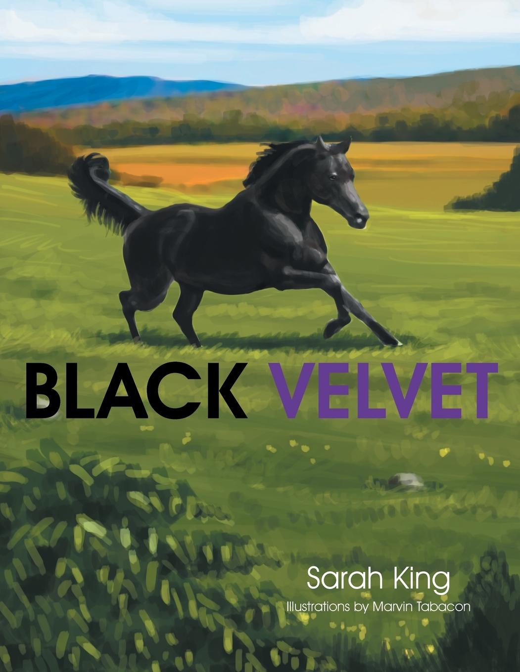 Vorderes Coverbild Black Velvet