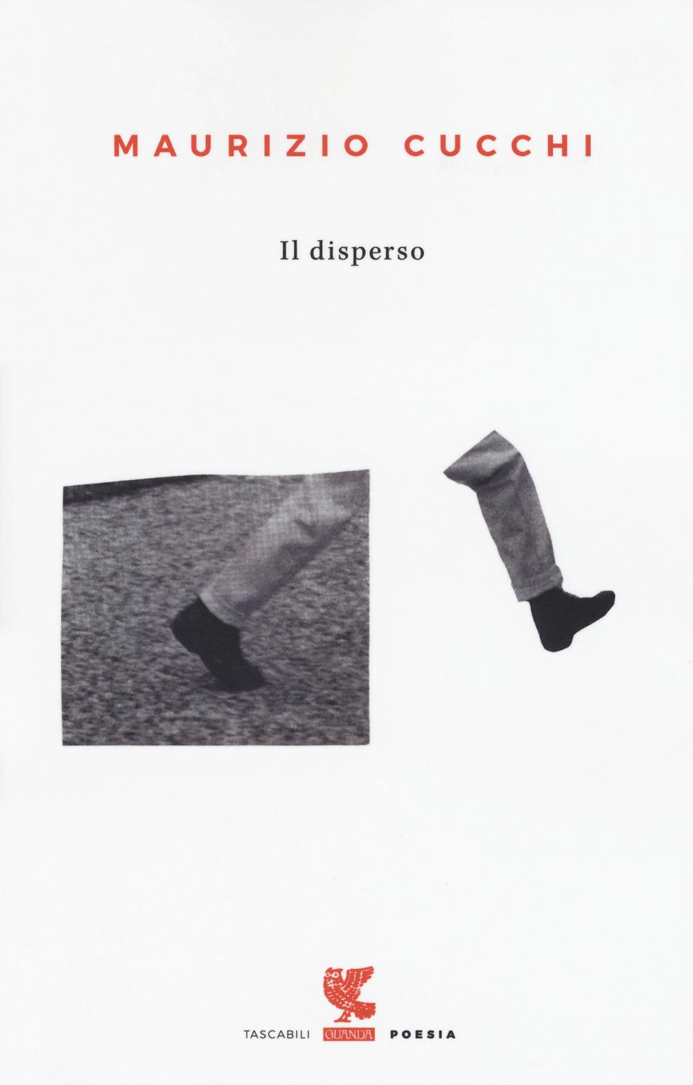 Vorderes Coverbild Il disperso
