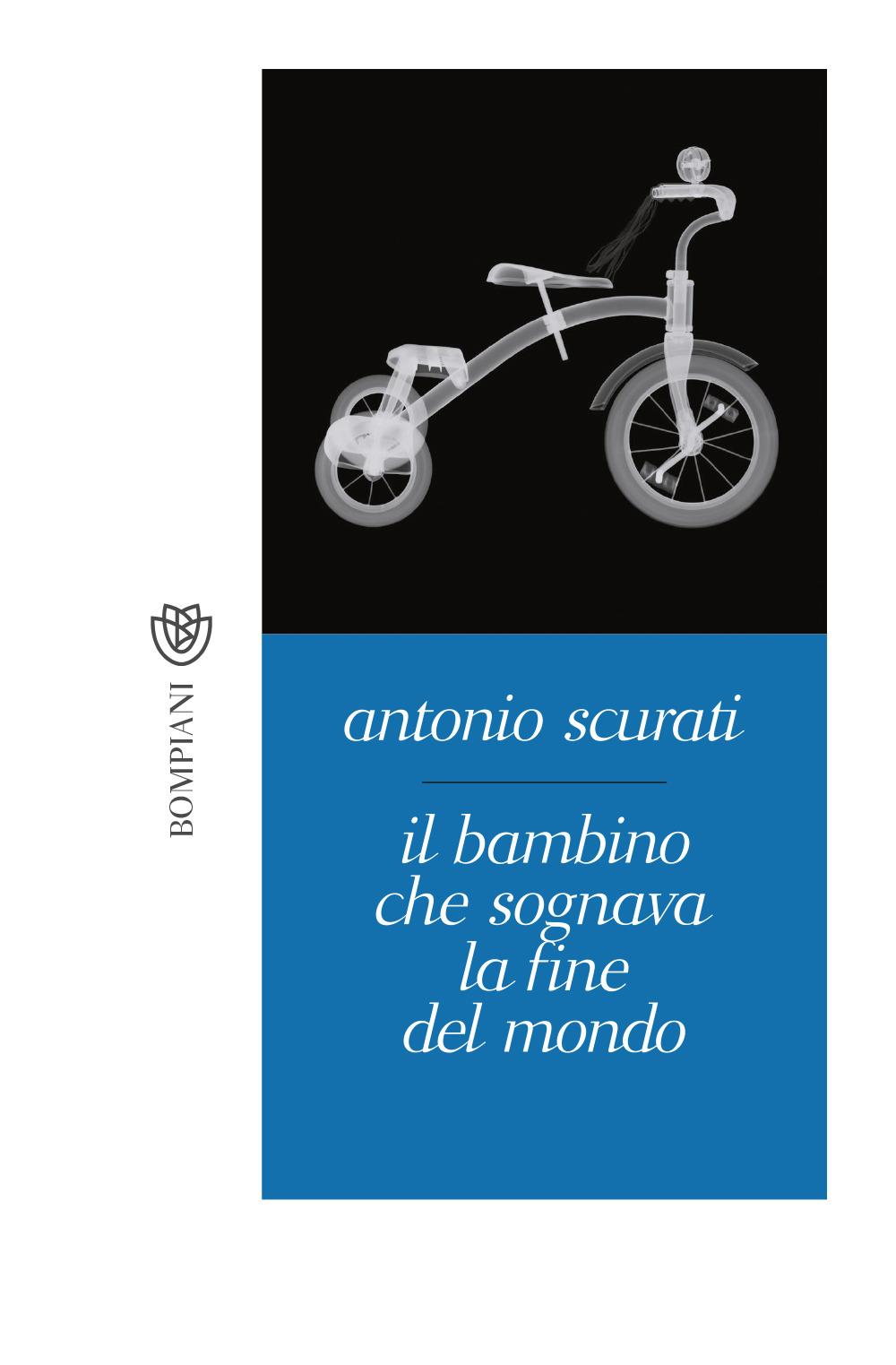 Vorderes Coverbild Il bambino che sognava la fine del mondo