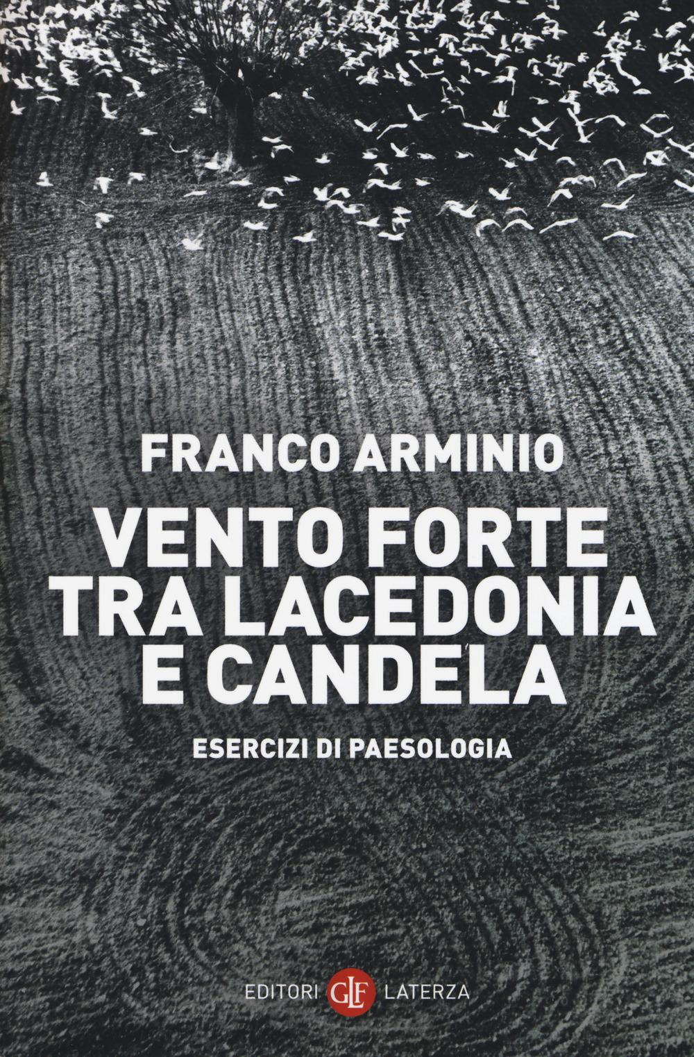 Vorderes Coverbild Vento forte tra Lacedonia e Candela. Esercizi di paesologia