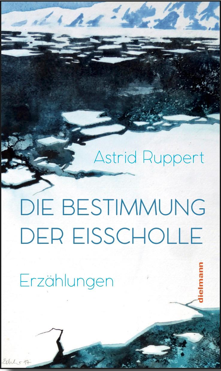 Vorderes Coverbild Die Bestimmung der Eisscholle