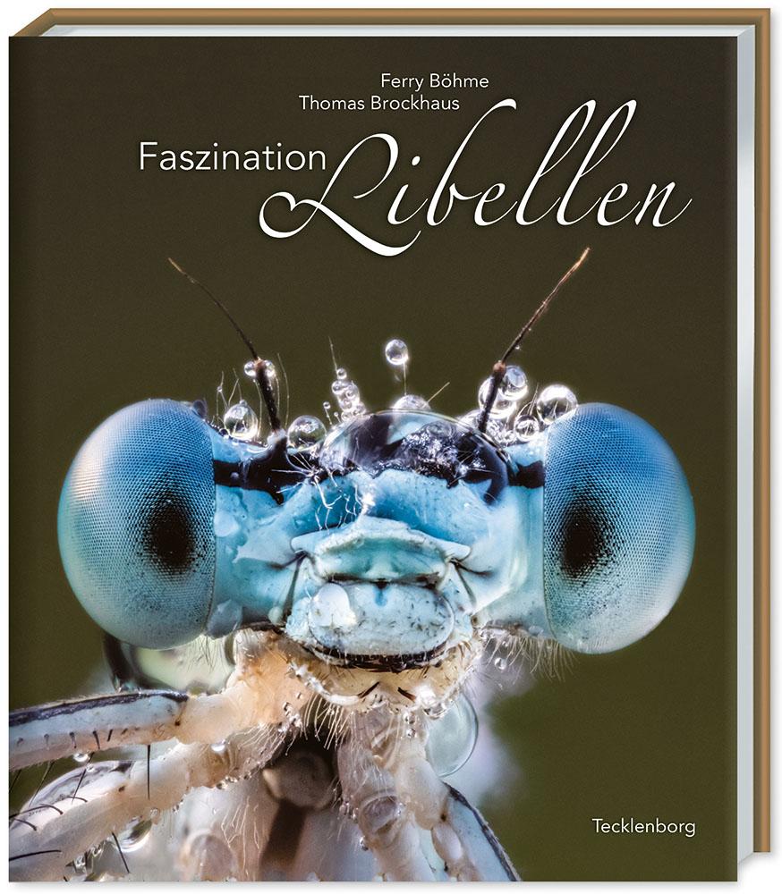 Vorderes Coverbild Faszination Libellen