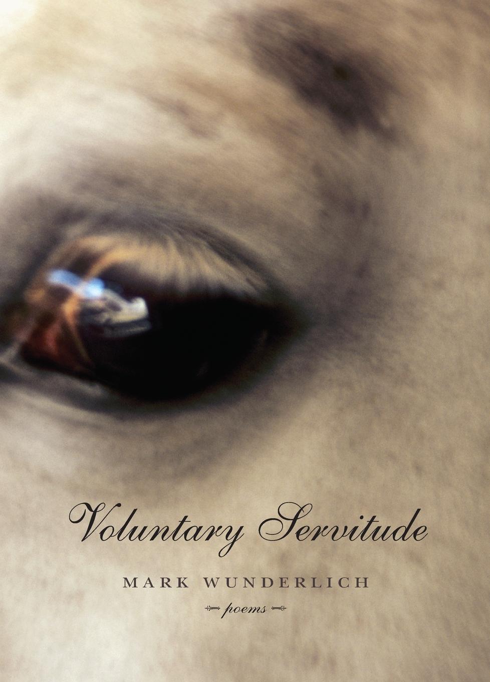 Vorderes Coverbild Voluntary Servitude