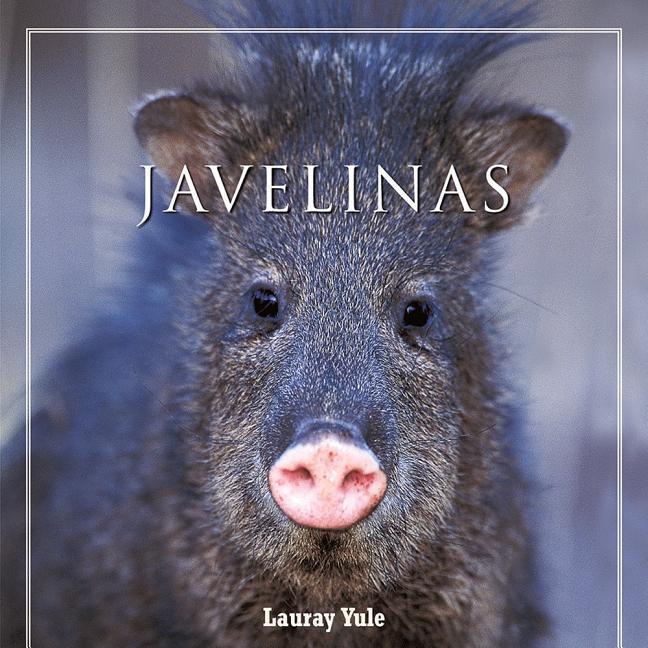 Vorderes Coverbild Javelinas