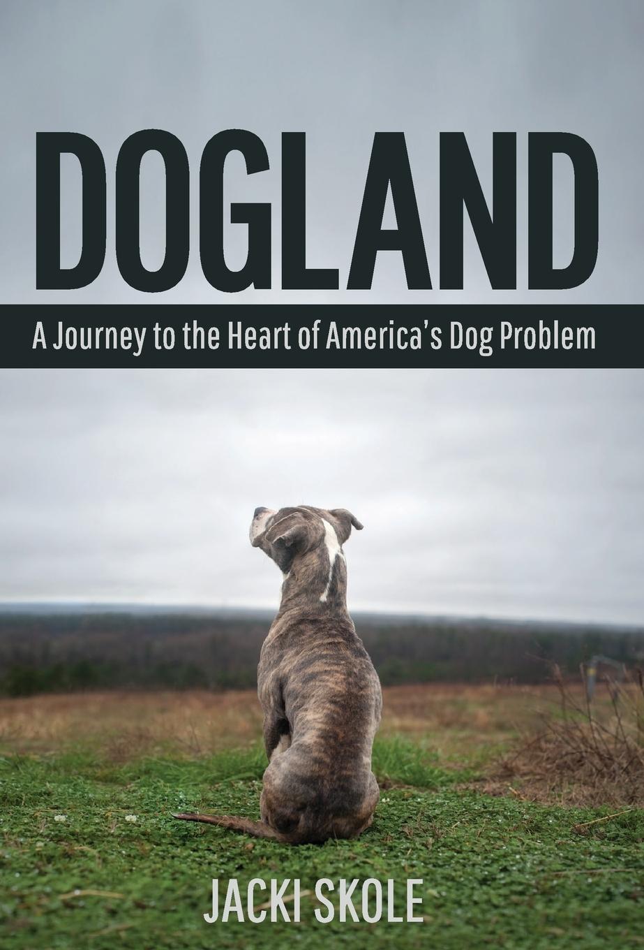 Vorderes Coverbild Dogland