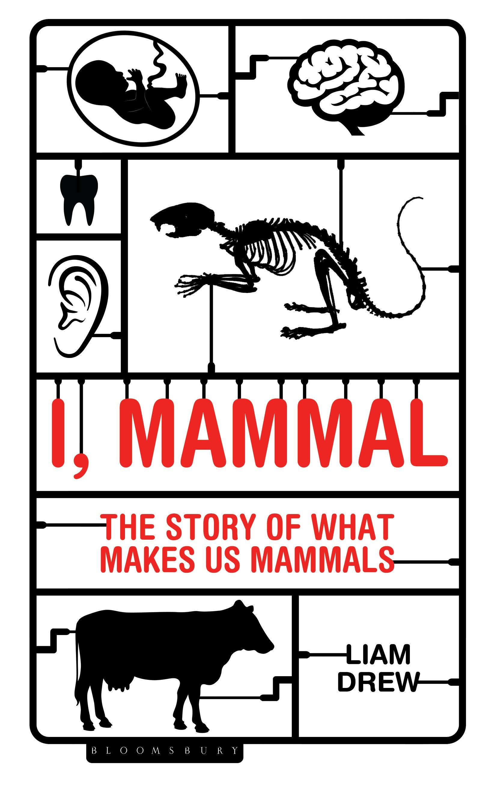 Vorderes Coverbild I, Mammal
