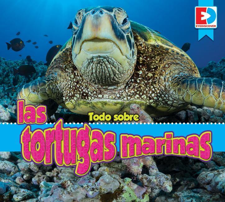 Vorderes Coverbild Todo Sobre Las Tortugas Marinas