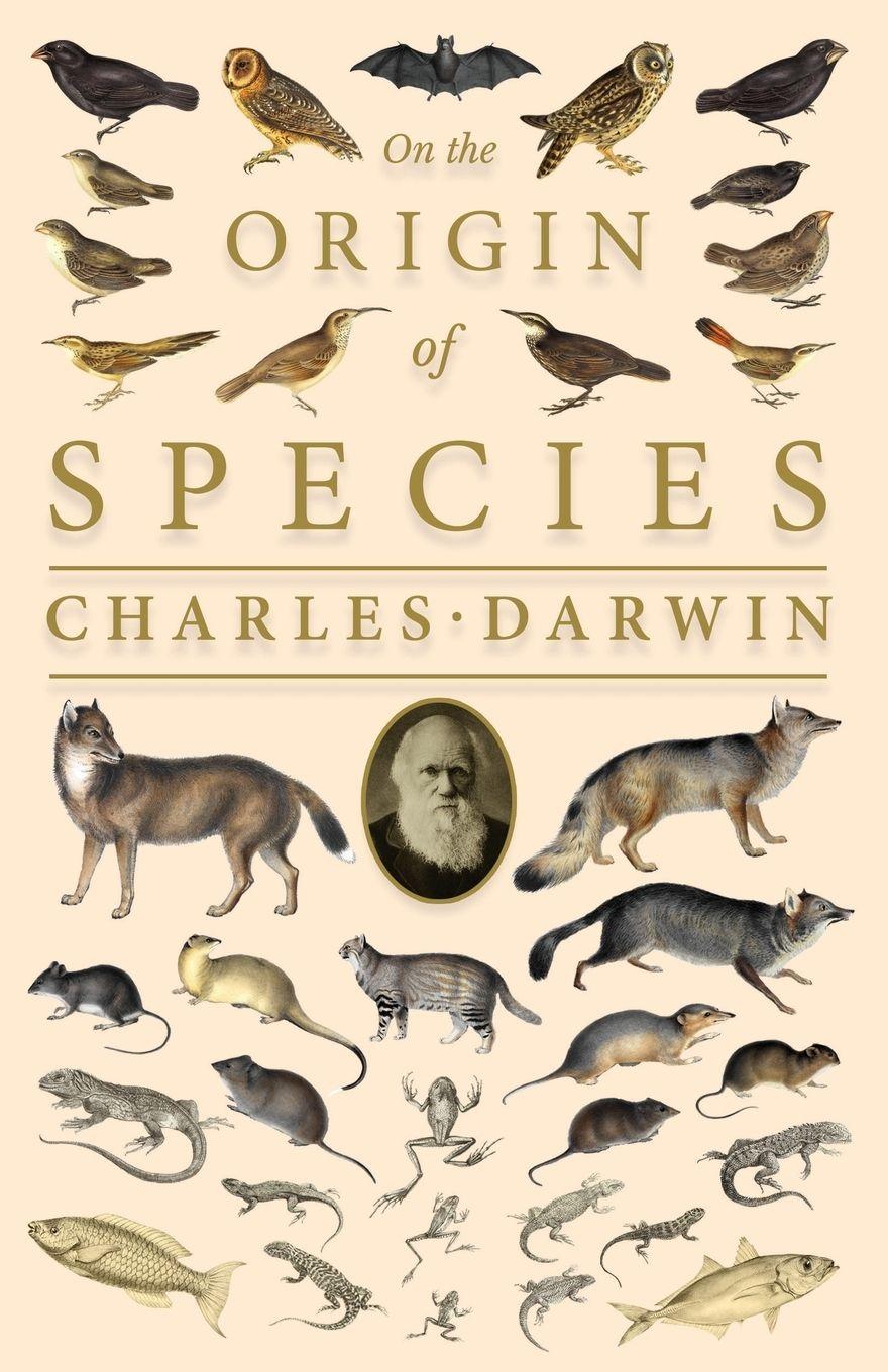 Vorderes Coverbild On the Origin of Species;Or; The Preservation of the Favoured Races in the Struggle for Life