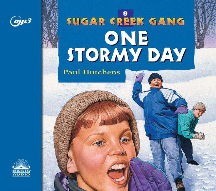 Vorderes Coverbild One Stormy Day