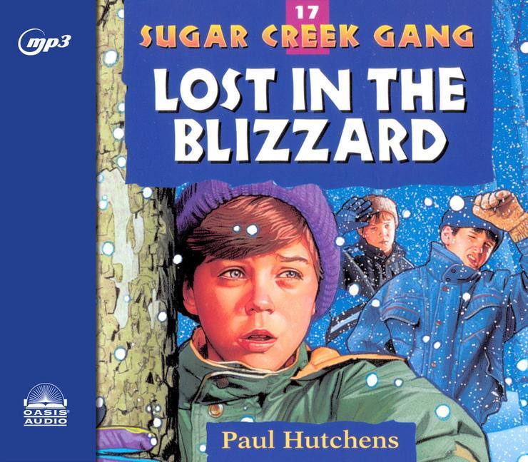 Vorderes Coverbild Lost in the Blizzard