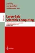 Vorderes Coverbild Large-Scale Scientific Computing