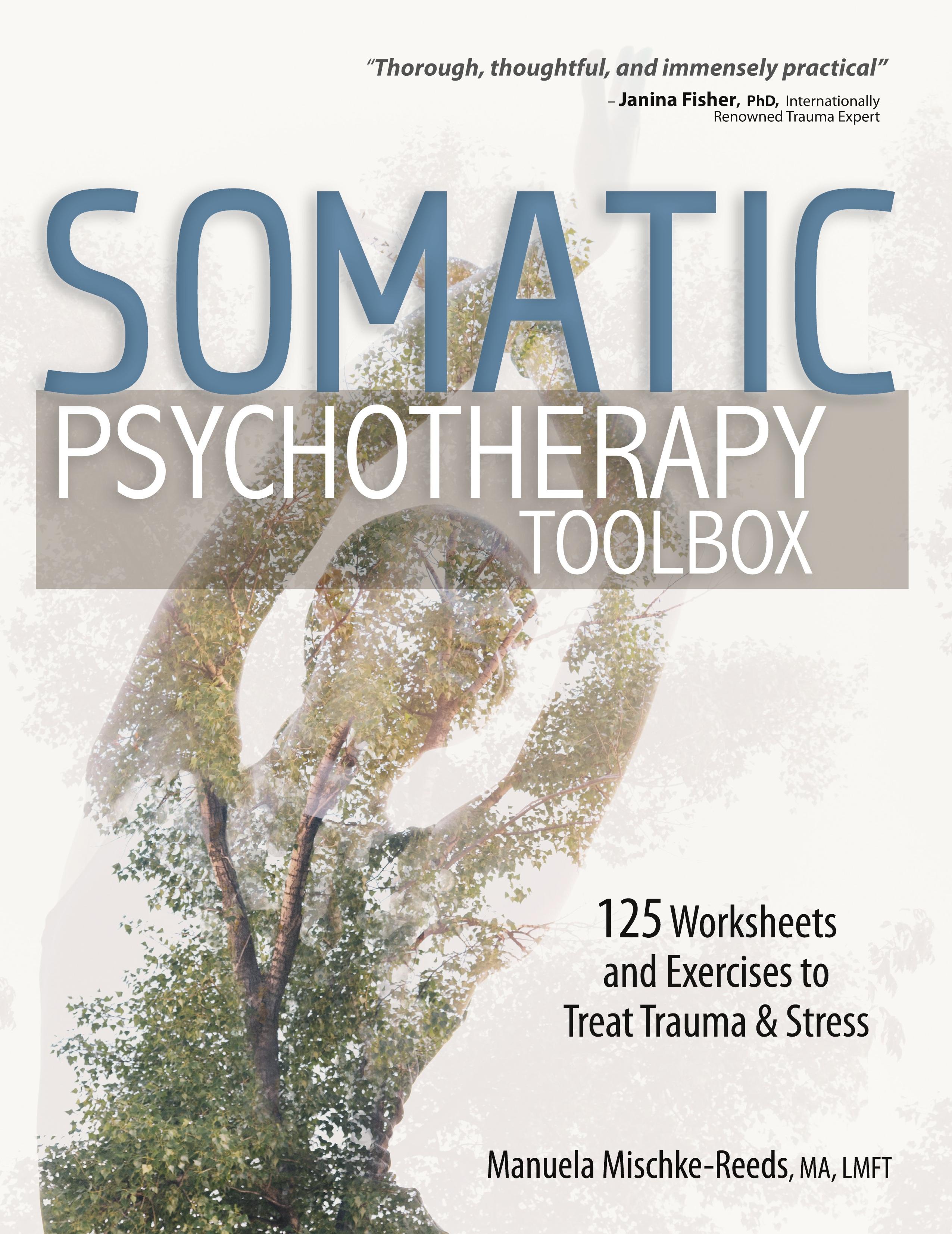 Vorderes Coverbild Somatic Psychotherapy Toolbox